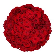 50 Premium Red Roses | Florist (Standard)